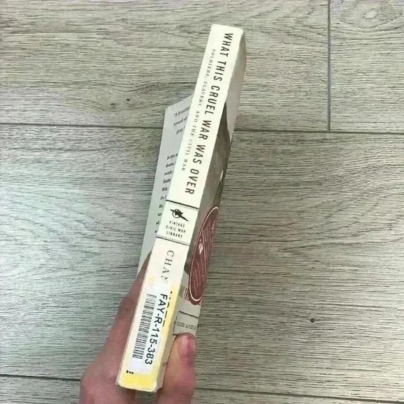 What This Cruel War Was Over by Chandra Manning - Picture 3 of 5